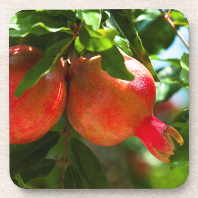 Pomegranate Coaster (Front)
