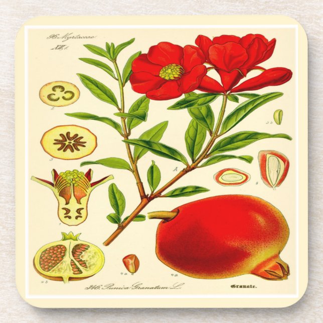 Pomegranate Coaster (Front)