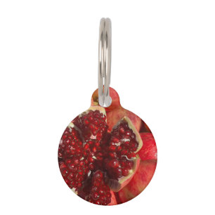 Pomegranate Coaster Pet Tag