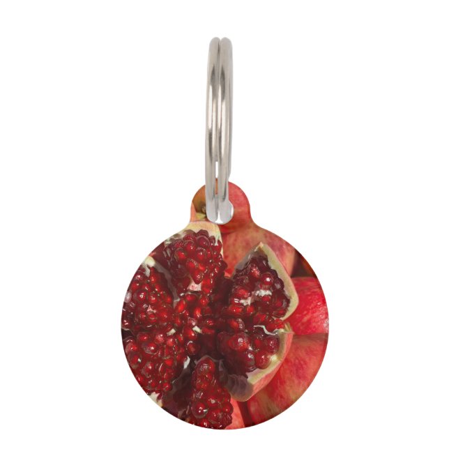  Pomegranate Coaster Pet Tag (Front)