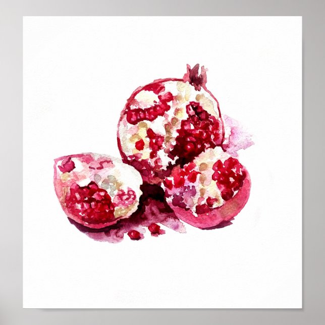 Pomegranate fruit watercolour decoration. poster (Front)