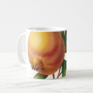 pomegranate(Grenadier punica) by Redouté Coffee Mug