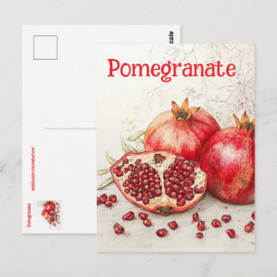 Pomegranate Postcard