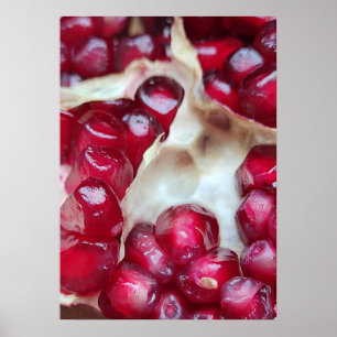 Pomegranate Poster