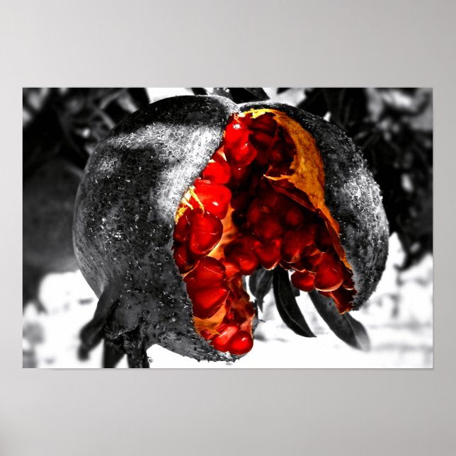 Pomegranate Poster (Front)