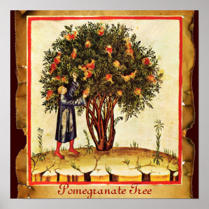 POMEGRANATE TREE ANTIQUE PARCHMENT POSTER
