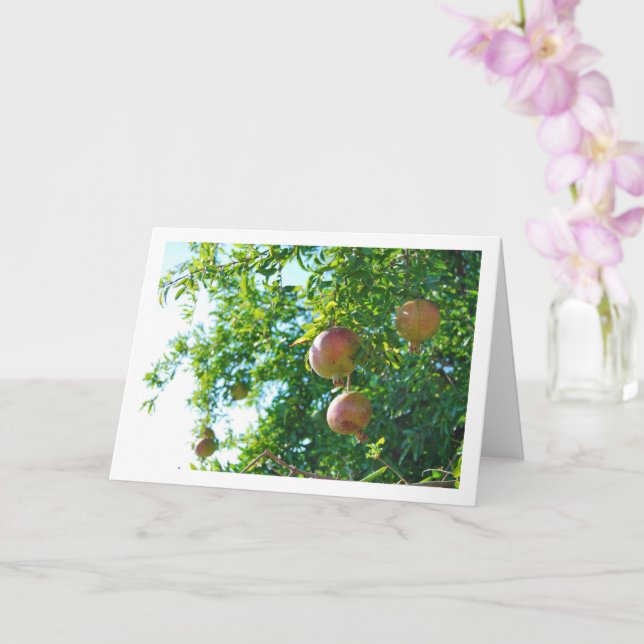 Pomegranates in Tree Portrait Card (Orchid)