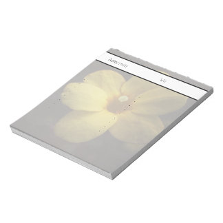 Pomelnic Notepad