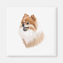 Pomerania dog illustration