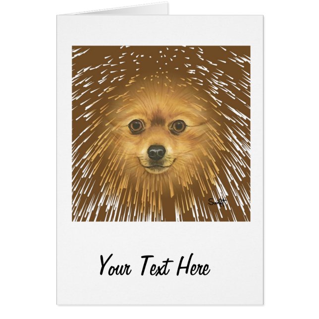 Pomeranian (Front)