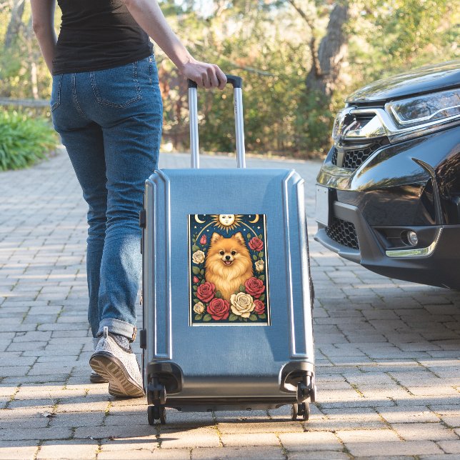 Pomeranian (Suitcase Insitu)