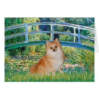 Pomeranian 3 - Bridge