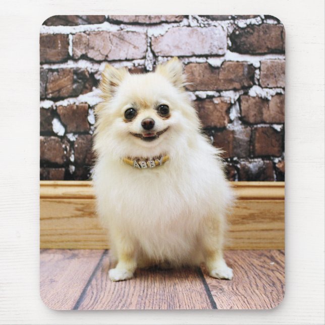 Pomeranian - Abby Vanity Collar Mouse Mat (Front)