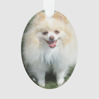 Pomeranian Acrylic Ornament