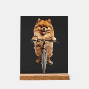 Pomeranian Acrylic Sign