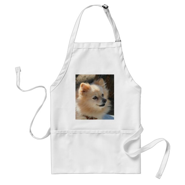 Pomeranian apron (Front)