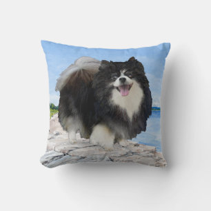 Pomeranian at the Seashore Pillow