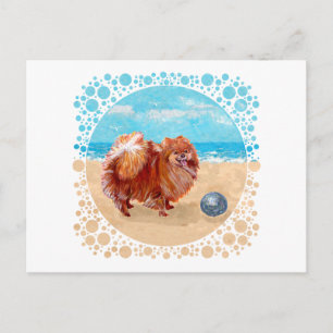 Pomeranian at the Seashore Postcard