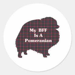 Pomeranian BFF Gifts Classic Round Sticker
