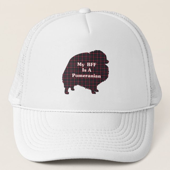 Pomeranian BFF Hat (Front)