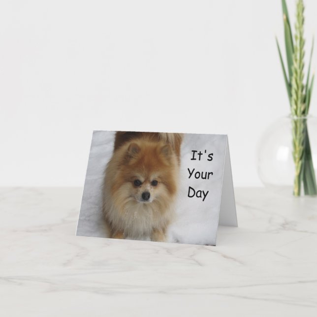 POMERANIAN BIRTHDAY GREETINGS CARD (Front)