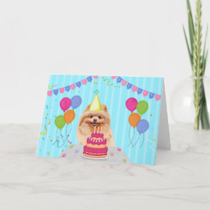 Pomeranian Birthday Holiday Card
