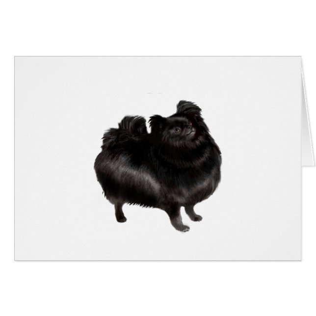 Pomeranian - black (stand) (Front Horizontal)