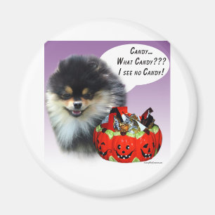 Pomeranian (blktan) Halloween Candy Magnet