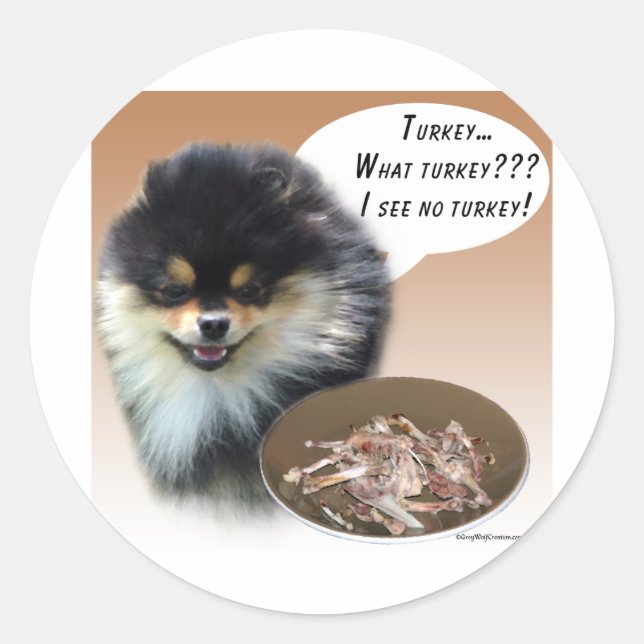 Pomeranian (blktan) Turkey Classic Round Sticker (Front)