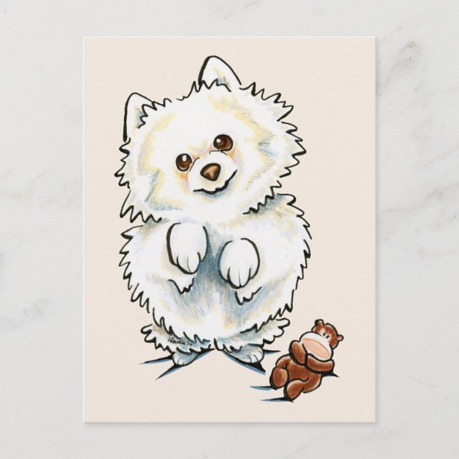 Pomeranian Boo Boo Postcard (Front)