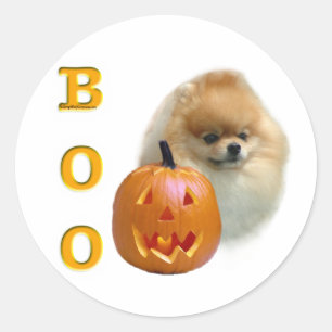 Pomeranian Boo Classic Round Sticker