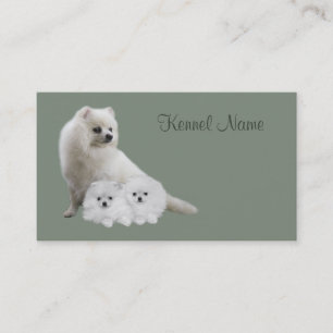 Pomeranian Breeder Business Card