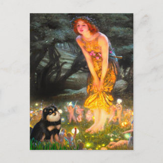 Pomeranian (BT) - MidEve Postcard