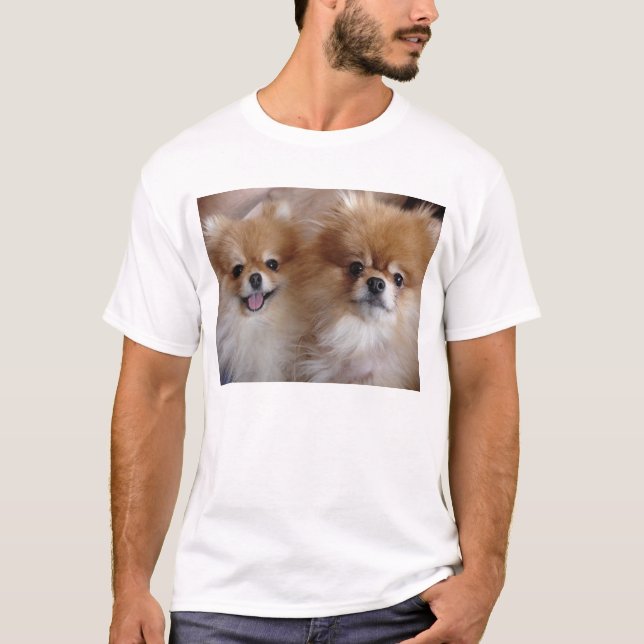 Pomeranian Buddies T-Shirt (Front)