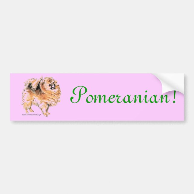 Pomeranian! Bumper Sticker (Front)