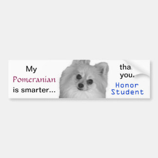 pomeranian bumper sticker