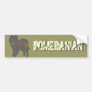 Pomeranian Bumper Sticker