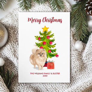 Pomeranian Christmas Card