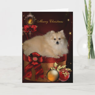 Pomeranian Christmas Holiday Card