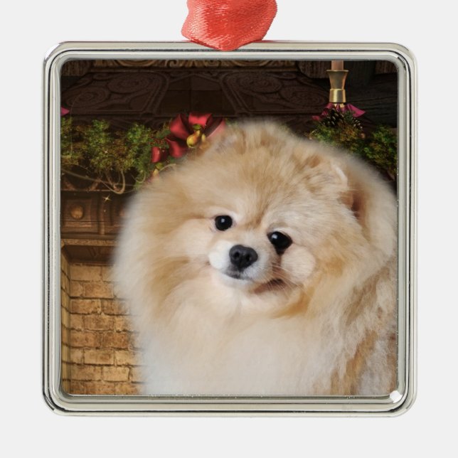 Pomeranian Christmas Ornament (Front)