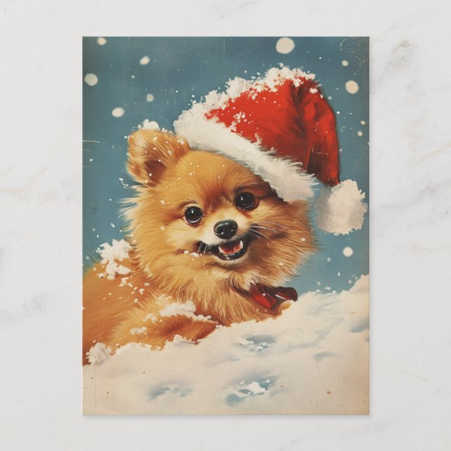 Pomeranian Christmas Postcard (Front)