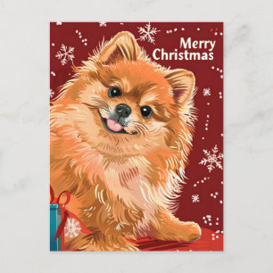 Pomeranian Christmas  Postcard
