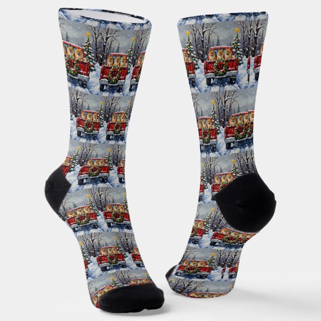 Pomeranian Christmas Red Truck Holiday Gift Socks (Angled)
