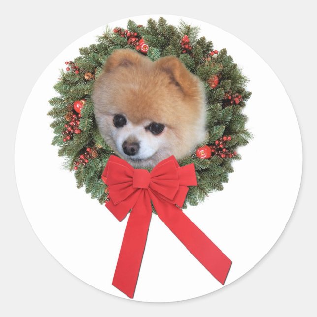 Pomeranian Christmas Sticker (Front)
