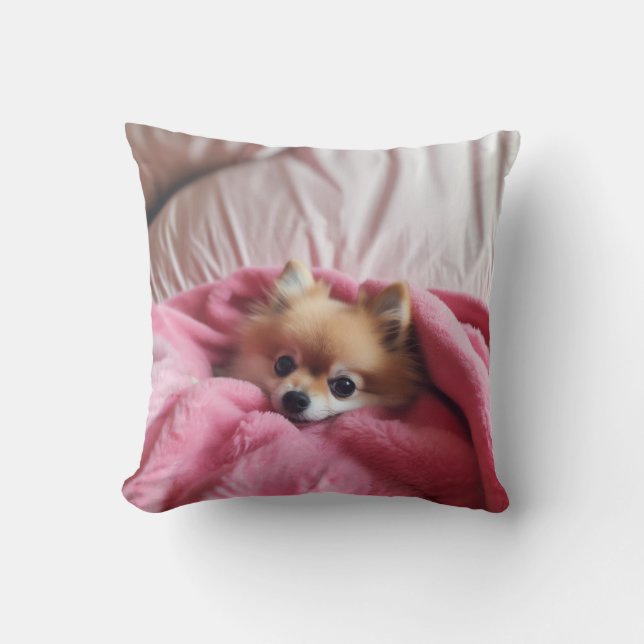 Pomeranian Companion Pink Accent Pillow (Front)