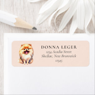 Pomeranian Dog Address