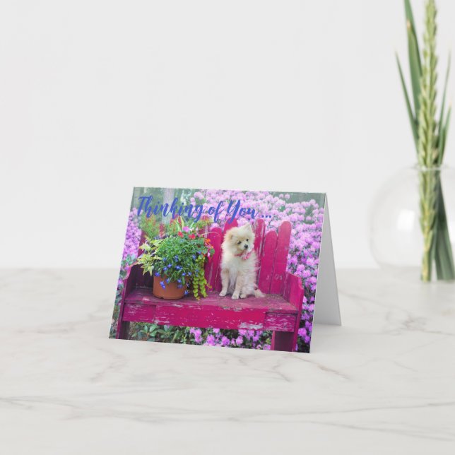 Pomeranian Dog Blank Inside Thinking of You Card (Front)