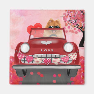 Pomeranian Dog Car with Hearts Valentine's Magnet