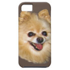 Pomeranian Dog Customisable