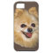 Pomeranian Dog Customisable